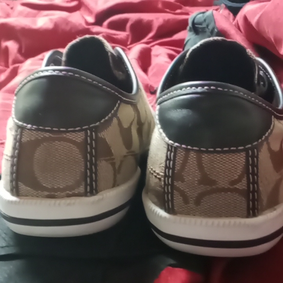 EUC Coach Bev Slips - Picture 3 of 4